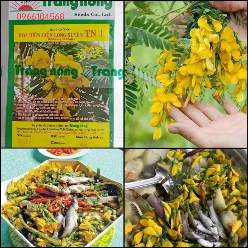 Hạt giống bông điên điển tứ quý Trang Nông gói 1g rất dễ trồng