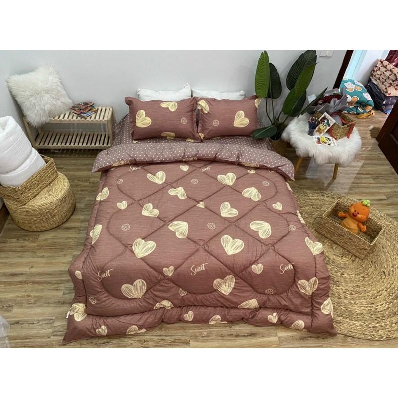 Bộ chăn ga cotton poly trần bông, nằm êm mềm mát