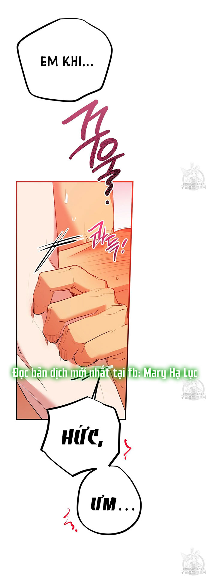 những chú thỏ của hapypy chapter 43 48