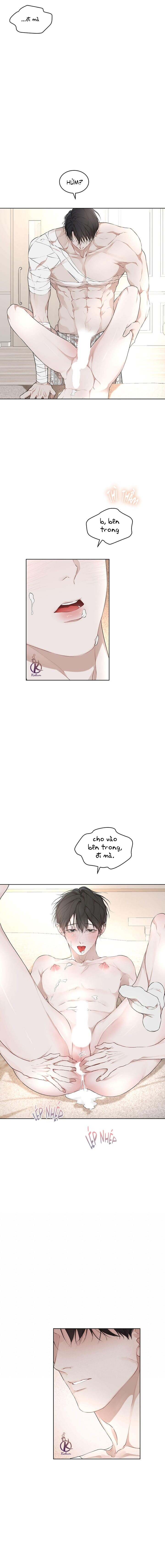 hình thái khởi sinh chapter 66 4