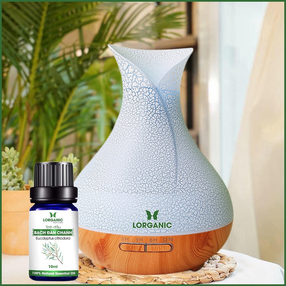 Combo máy khuếch tán/ máy xông tinh dầu Lorganic bình hoa FX2057 + tinh dầu bạch đàn chanh Lorganic LGN0366