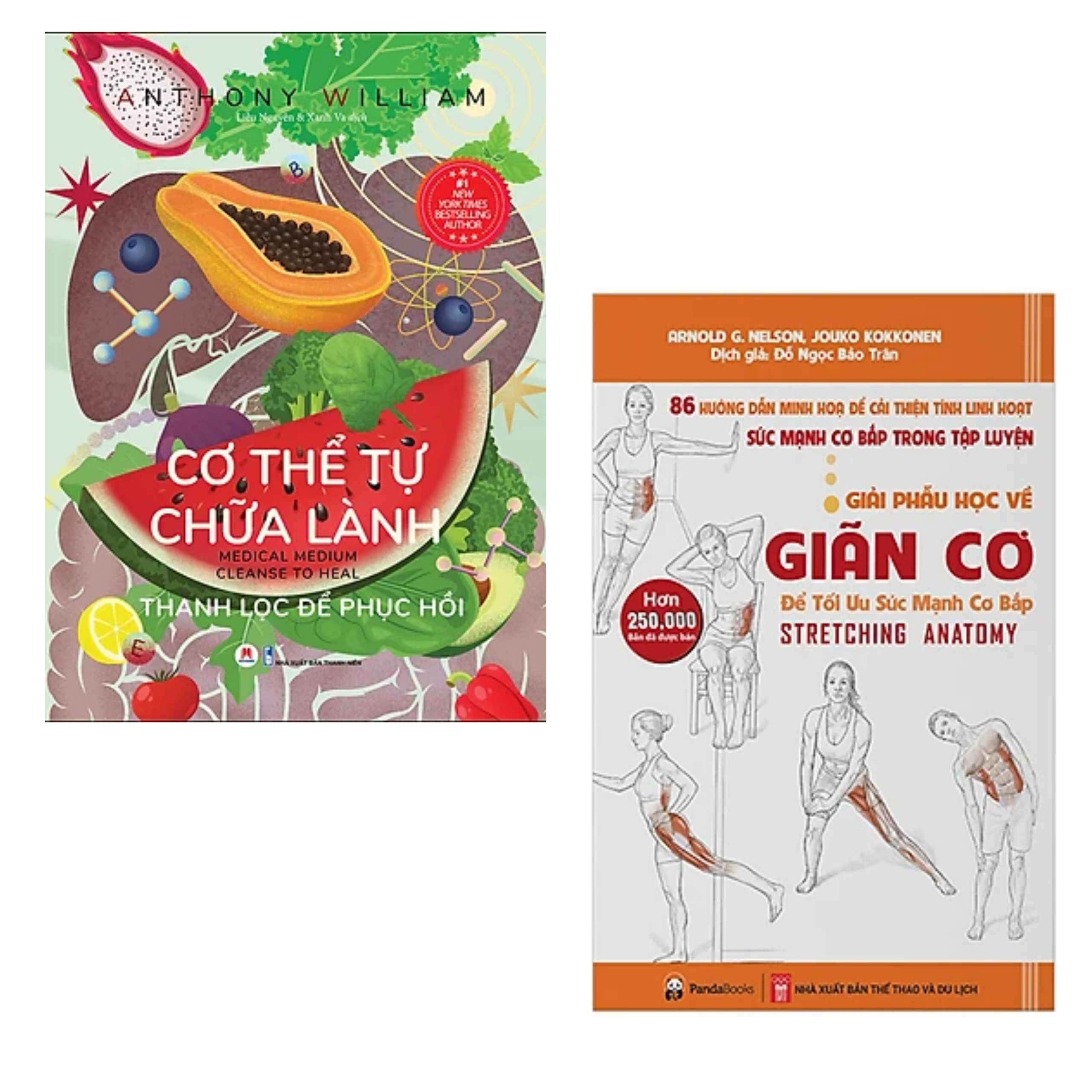 COMBO 2 cuốn sách y học: Cơ Thể Tự Chữa Lành - Thanh Lọc Để Phục Hồi + Giải Phẫu Học Về Giãn Cơ - Giãn Cơ Để Tối Ưu Sức Mạnh Cơ Bắp