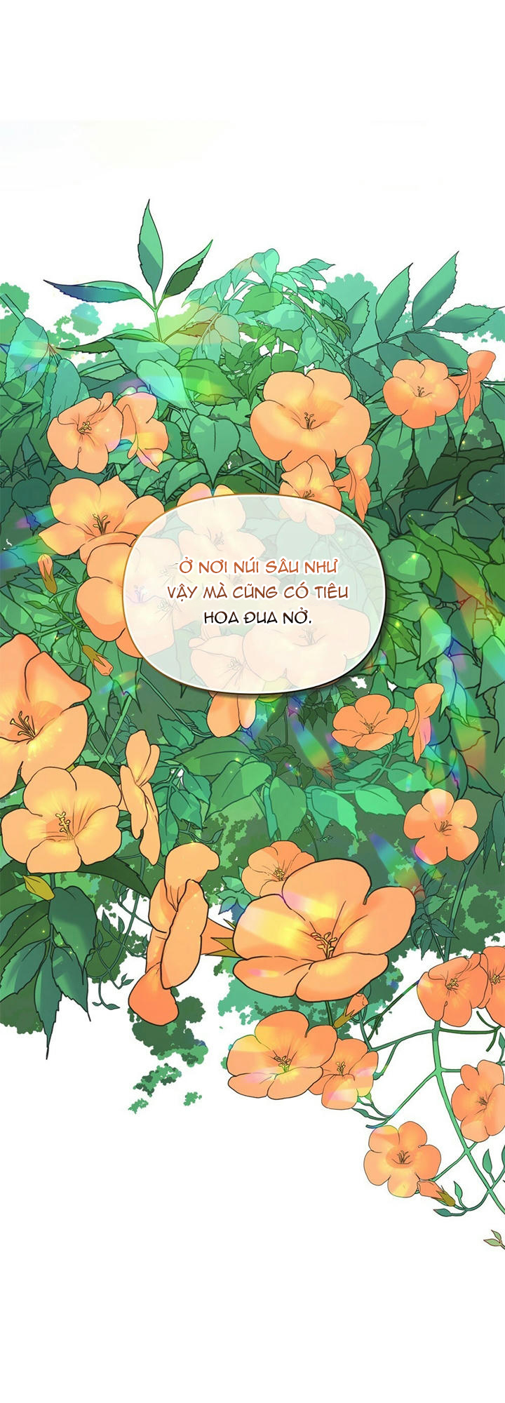 đăng tiêu hoa chapter 16 4