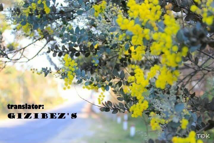 usotsuki lily chapter 37 2