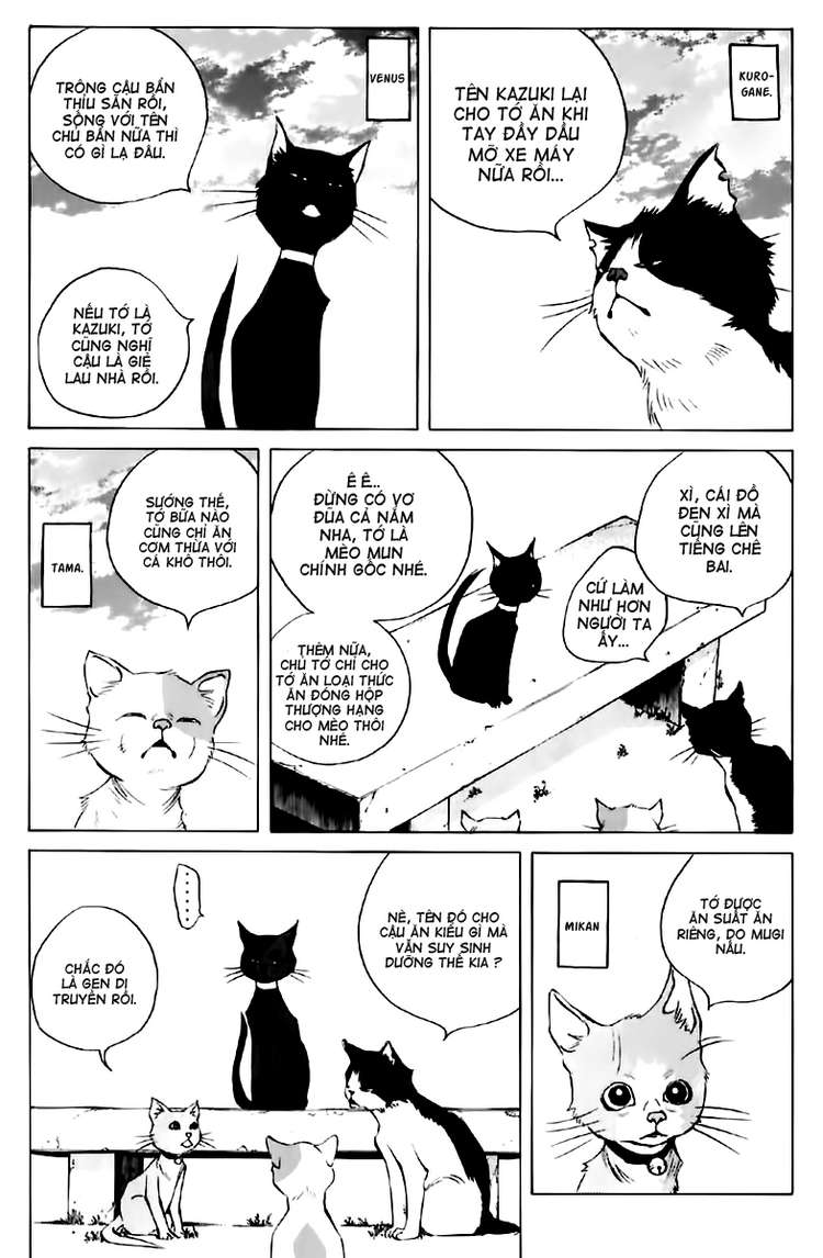 pastel chapter 123.5 13