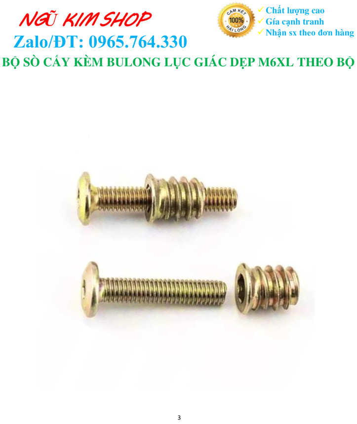 SÒ CẤY KÈM BULONG LỤC GIÁC DẸP M6 x L THEO BỘ