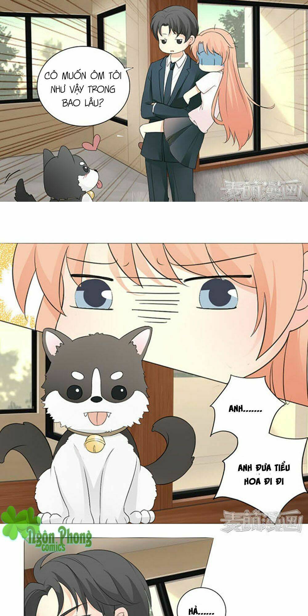 tổng tài bá đạo là gay chapter 5 12