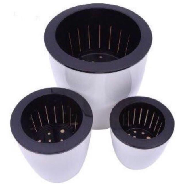 Combo Bộ Chậu Tự Dưỡng, Trồng Cây Thủy Sinh