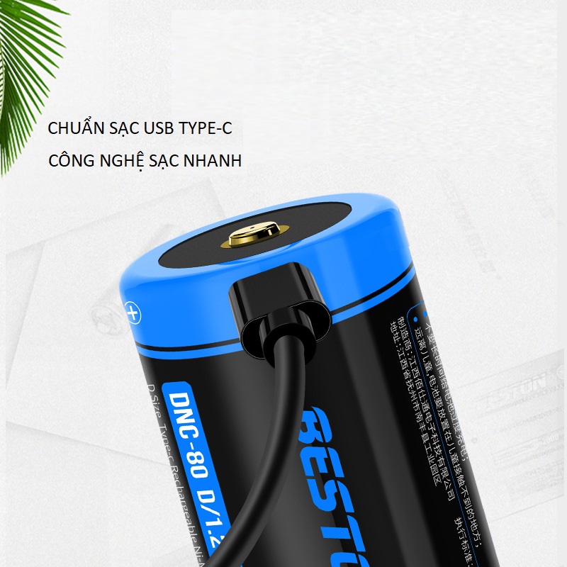 Combo 2 Pin D sạc cỡ đại Beston DNC-80 1.2v 8000mAh cổng sạc USB Type-C Pin Sạc Cho Bếp Ga, Đèn Pin, Thiết Bị Công Nghiệp