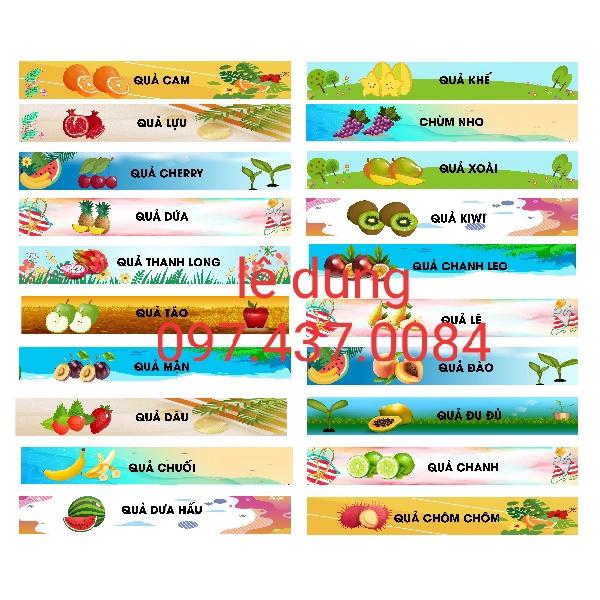 Combo 21 bậc decal trang trí cầu thang hoa quả tiếng việt