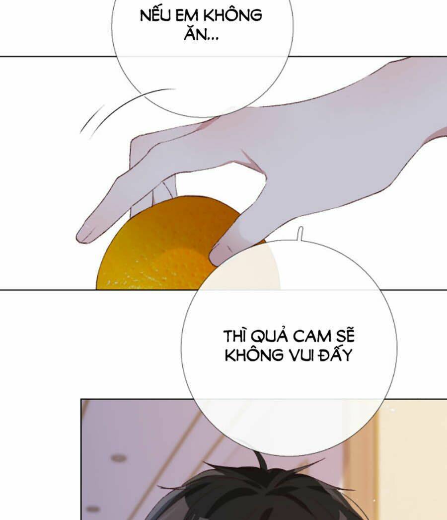 yêu thương em, yêu bản thân chapter 21 7