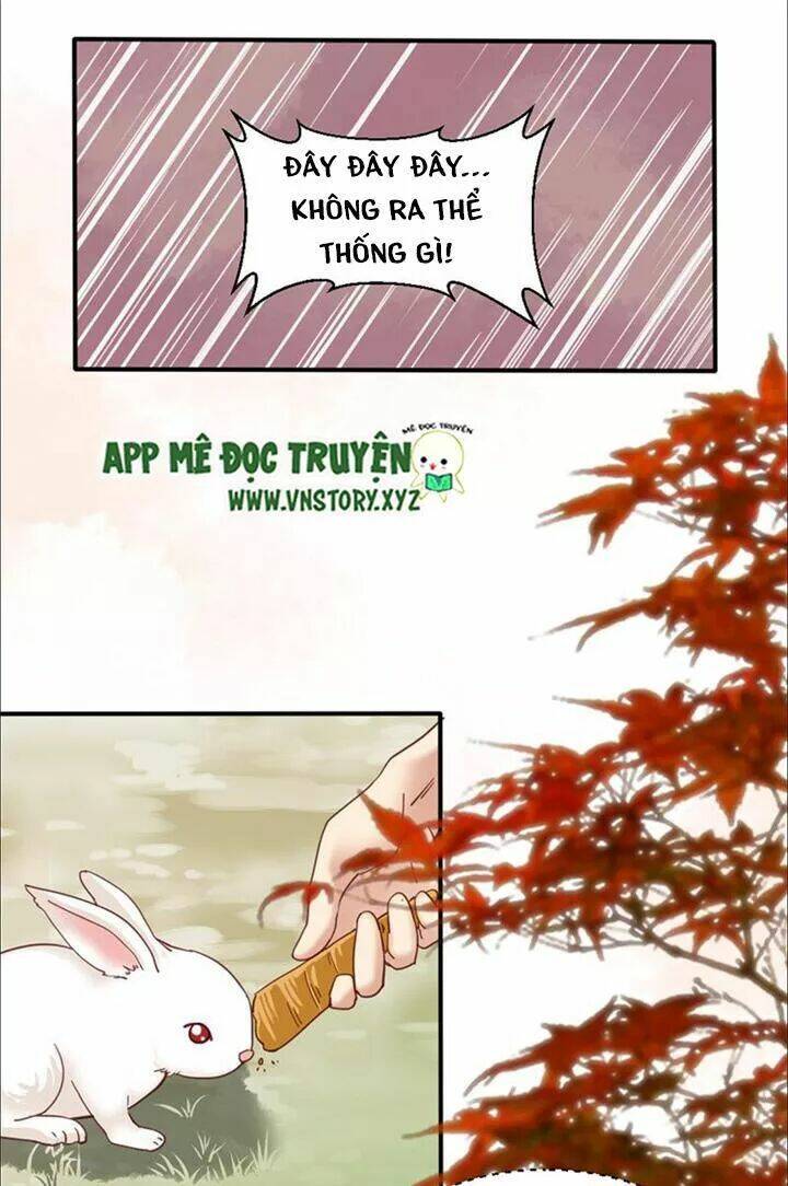 kiều nữ độc phi chapter 82 10