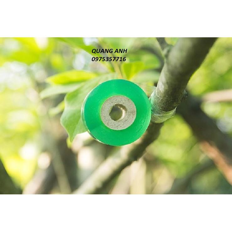 CUỘN NILON XANH GHÉP CÂY 5CM