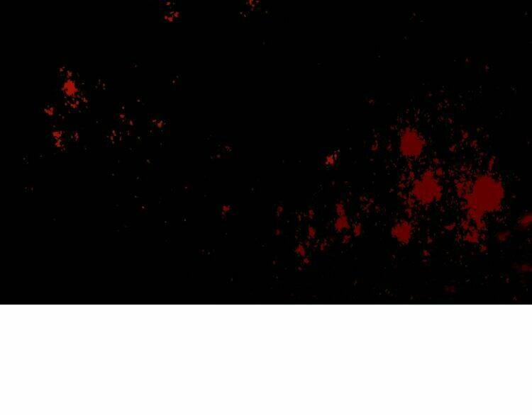 hoa nhan sách chapter 61.2 26