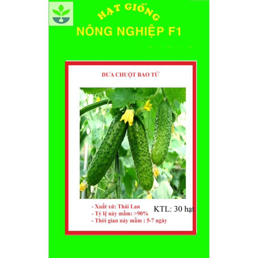 Gói 30 hạt giống dưa chuột bao tử