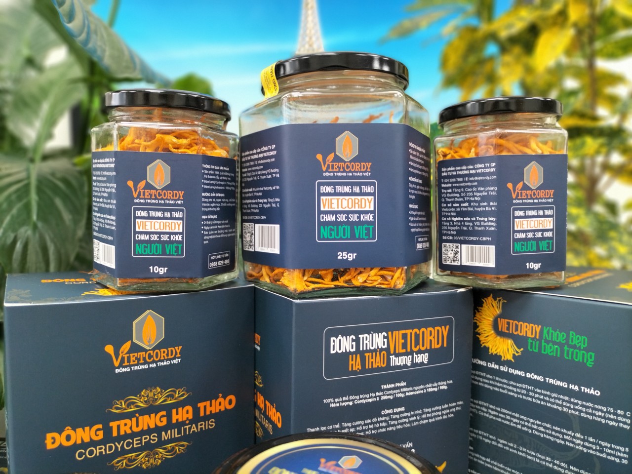 DEAL HOT { ĐÔNG TRÙNG HẠ THẢO CAO CẤP_2 HŨ * 25GR }