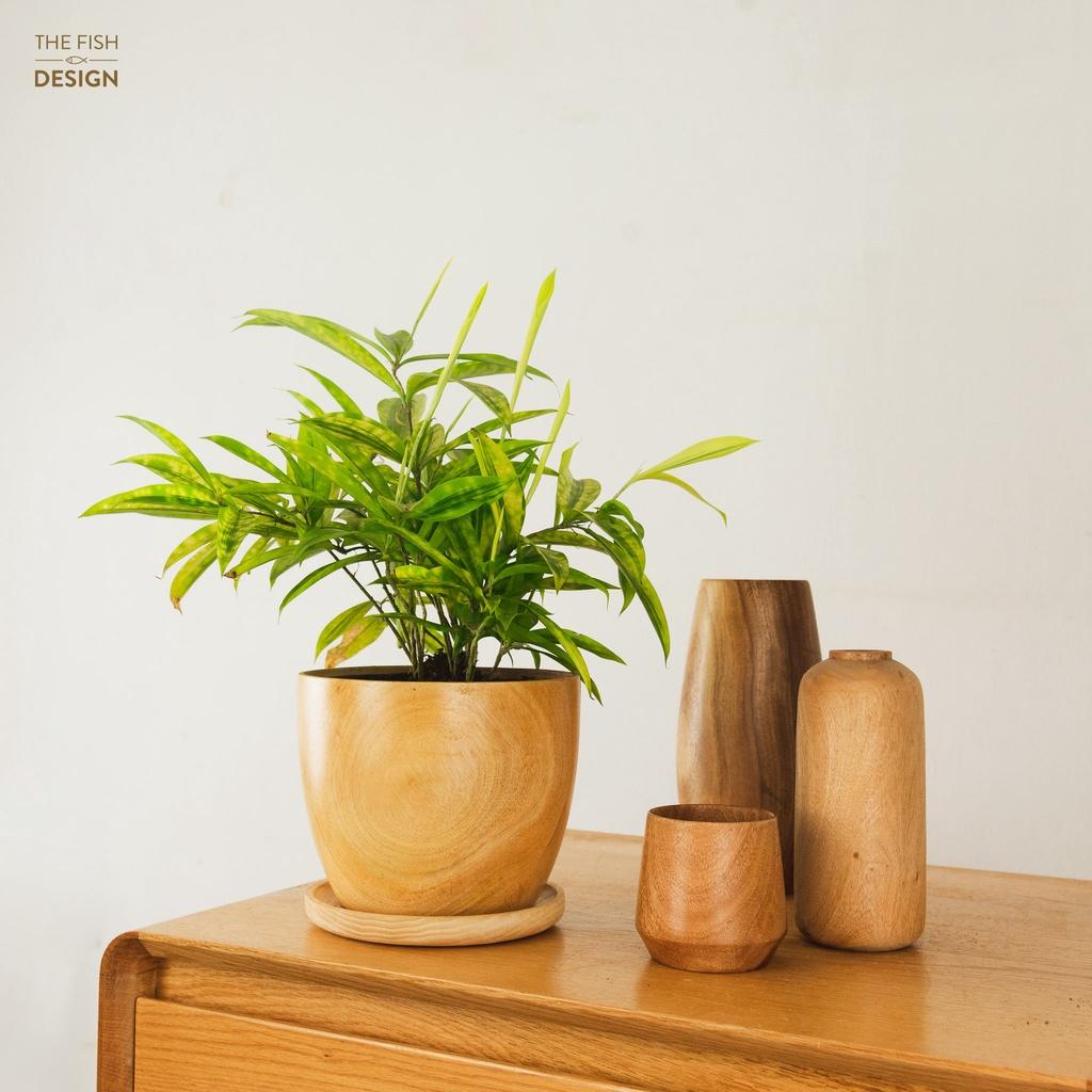 Chậu cây trúc nhật | THE FISH DESIGN size LS