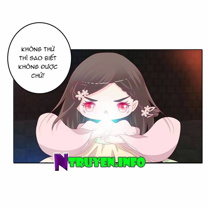 tướng quân mời ra trận chapter 77 12