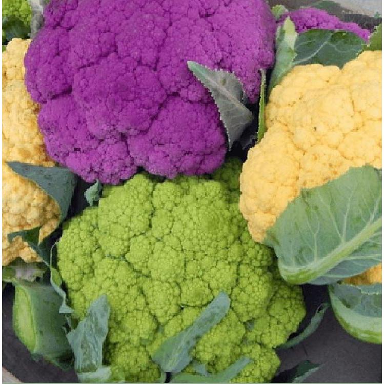 Combo 4 gói hạt giống súp lơ các loại-gói 1gram-tặng kèm gói phân bón lót