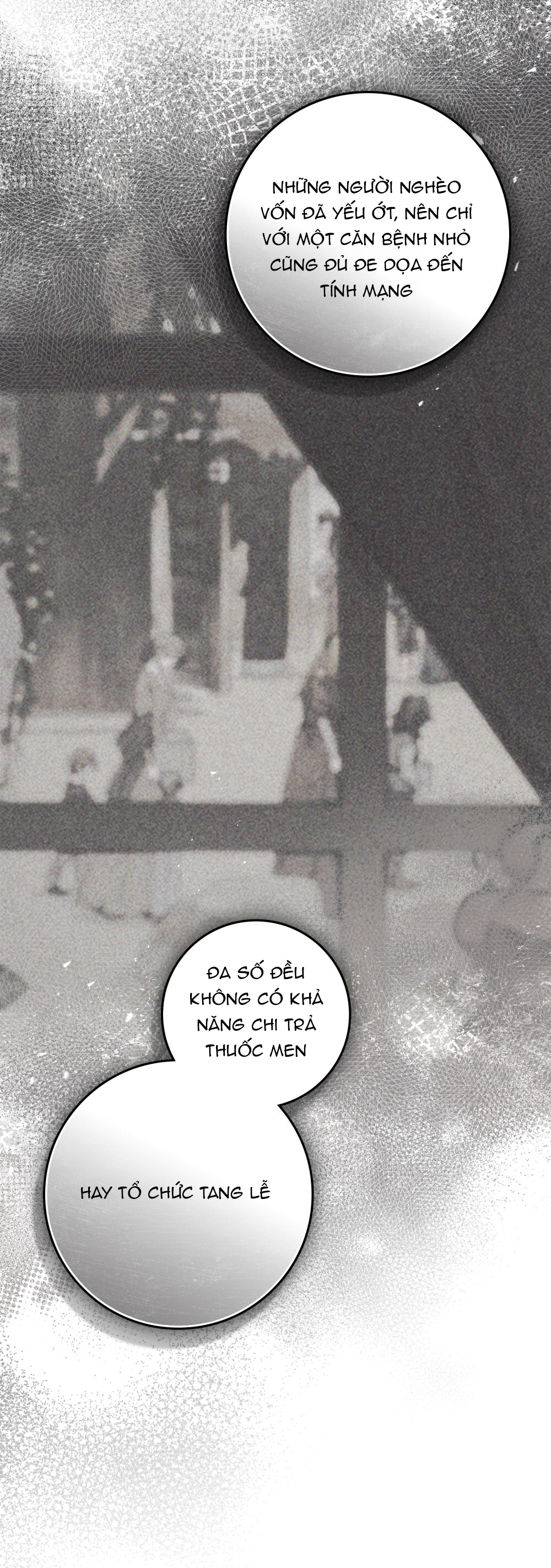 Dưới Bóng Cây Sồi chapter 116.2 40