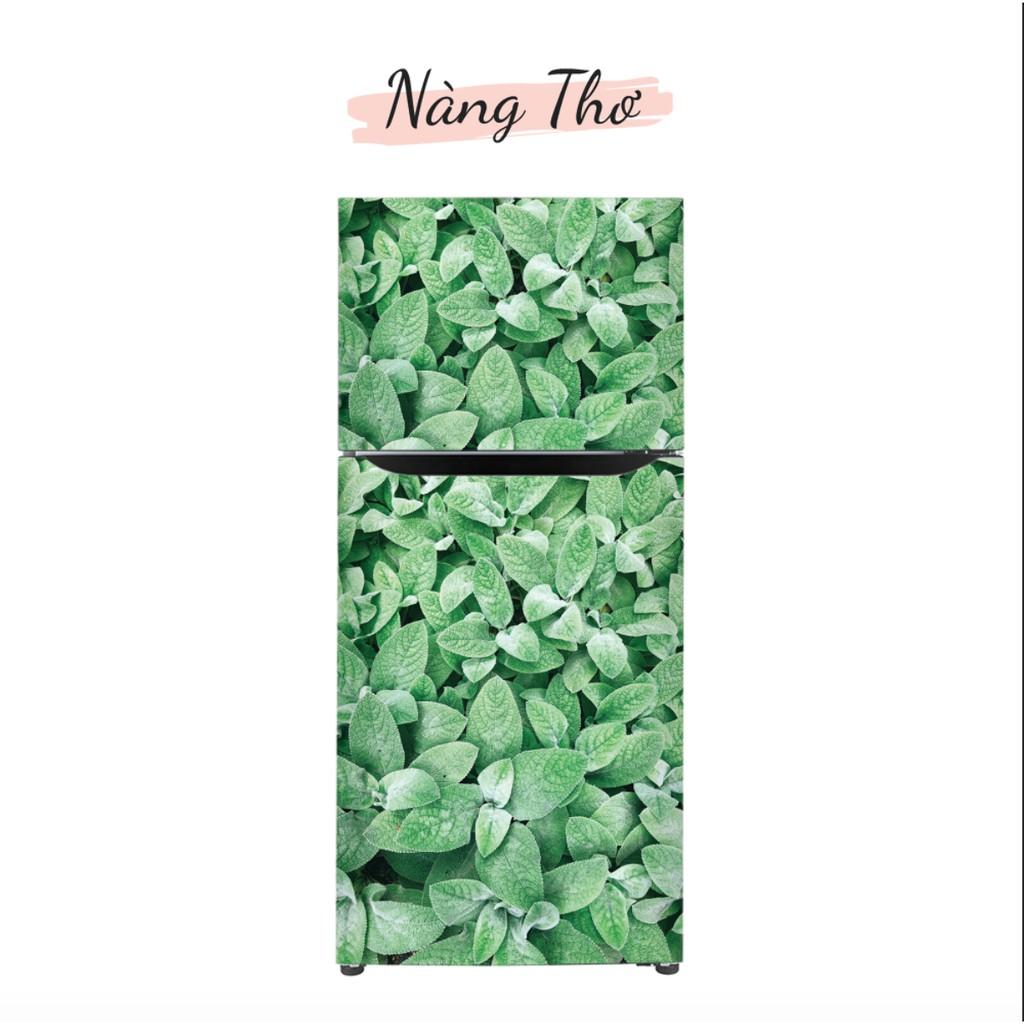 HÌNH LÁ 3D DÁN TỦ LẠNH NHIỀU KÍCH THƯỚC_DECAL VIP