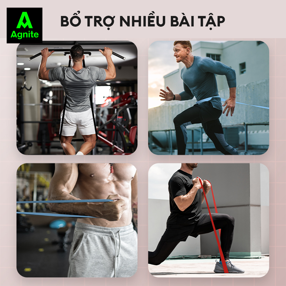 Dây kháng lực tập mông đùi chân và toàn thân Agnite chính hãng, dụng cụ hỗ trợ tập gym tại nhà - ER251-254