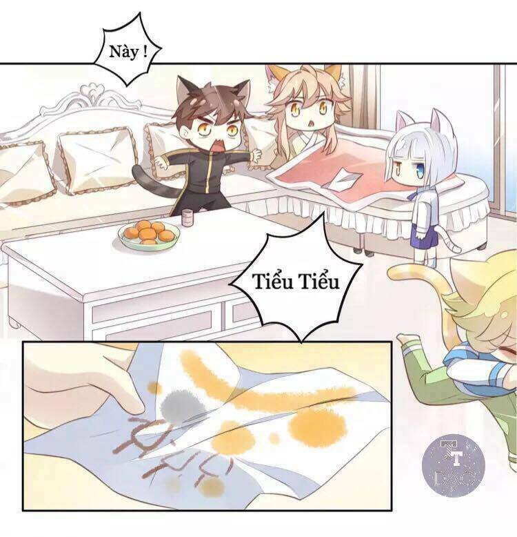 dưới móng vuốt mèo chapter 18 13
