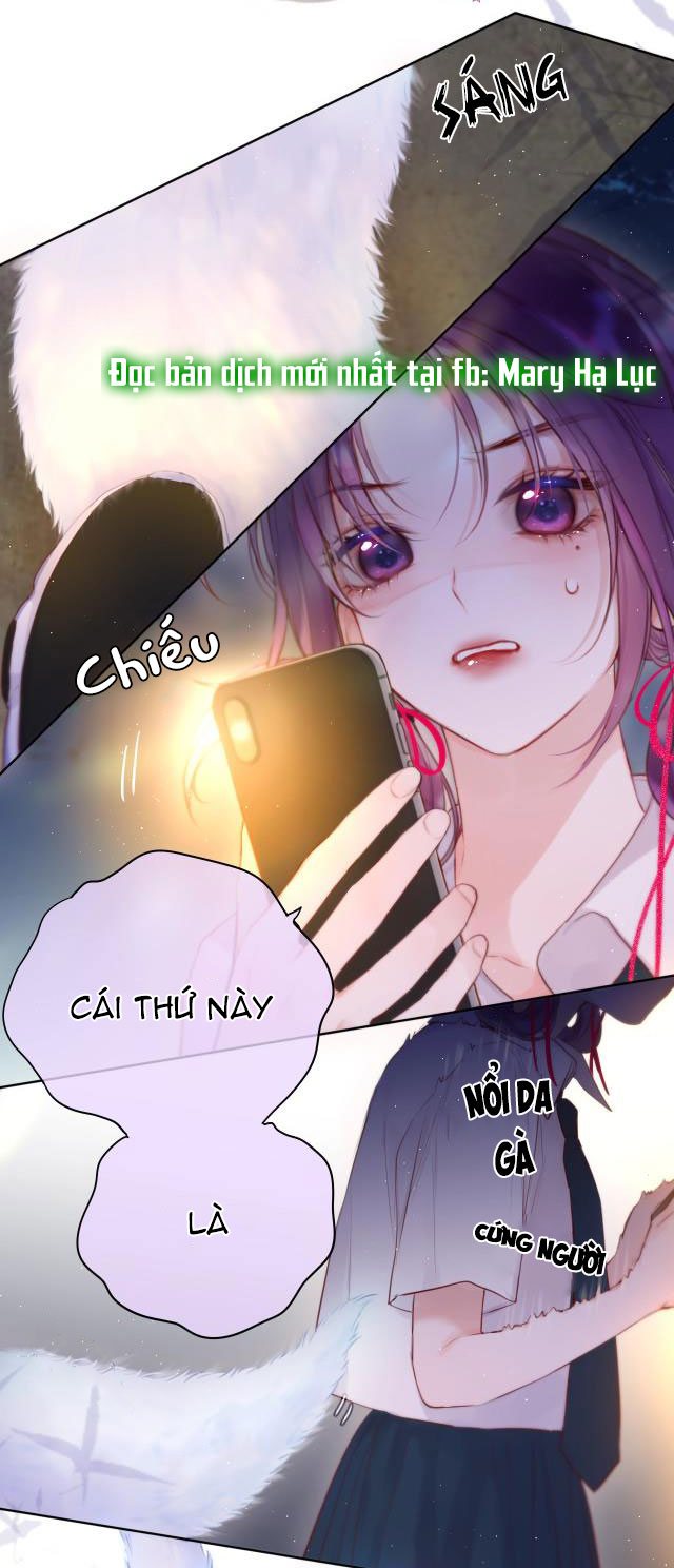 cạm bẫy của hồ ly chapter 1.3 19