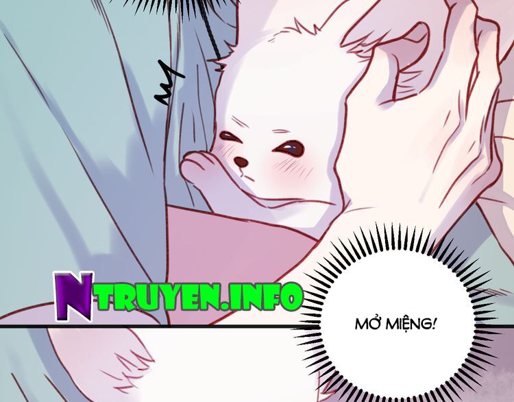 lượm được một tiểu hồ ly phần 1 chapter 75 27