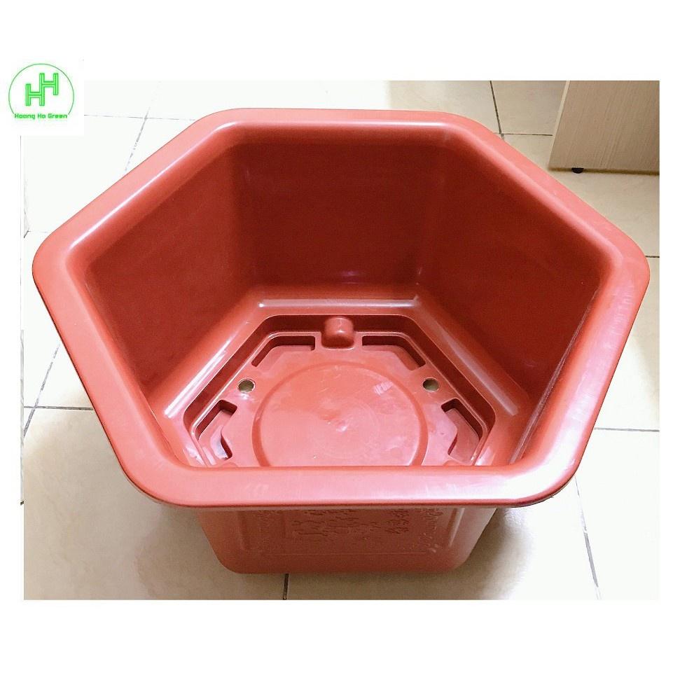 3 Chậu Nhựa Trồng Hoa, Cây Cảnh Bình Thuận FAC-480 hàng chất lượng nhựa bền đẹp