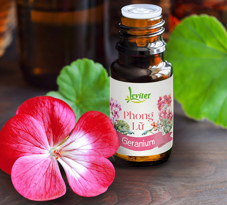 Combo 3 Chai Tinh Dầu Dể Ngủ Leviter