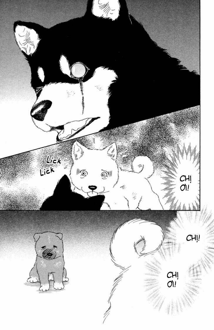 deep love - pao no monogatari chapter 1 32