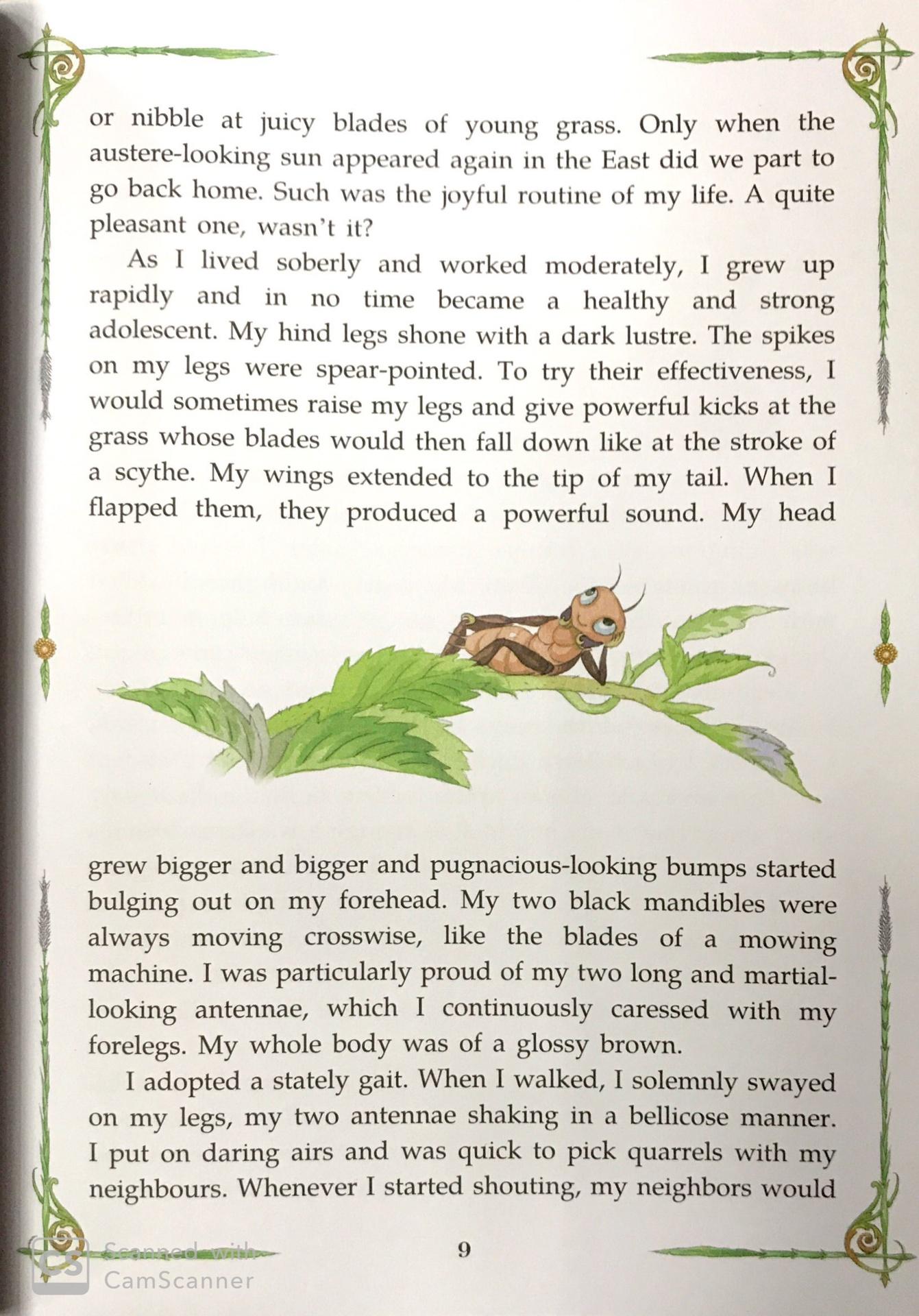 Sách ngoại văn: Diary Of A Cricket (Tái Bản 2024)