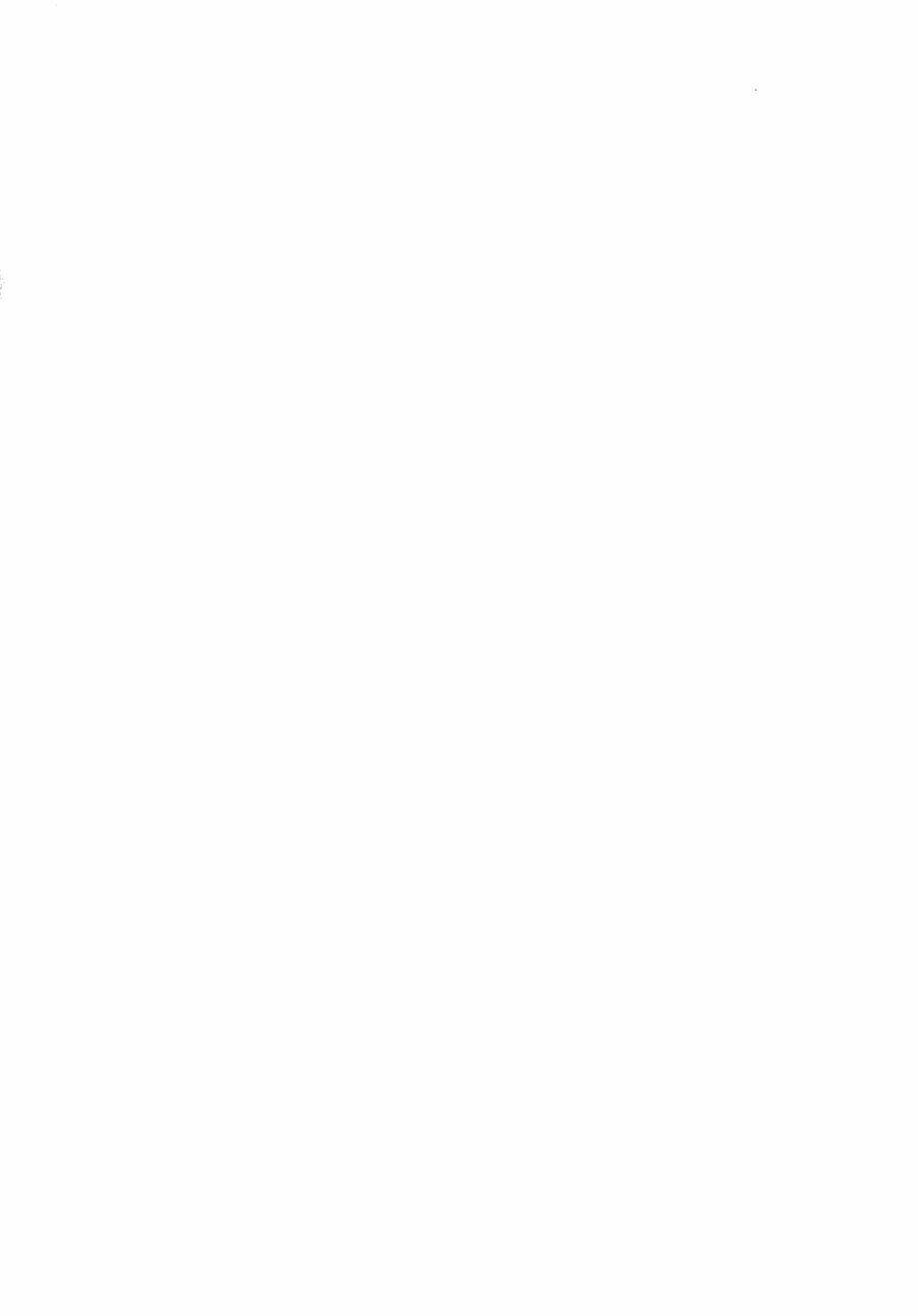 mahou shoujo madoka magica - the different story chapter 5 4