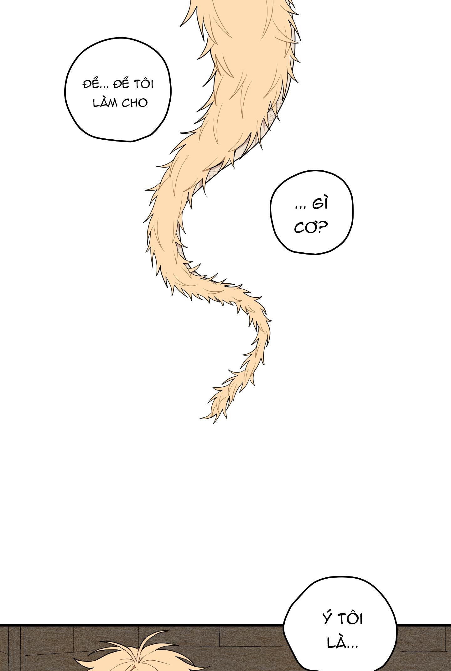 đường hoa liên kiều rơi chapter 14 1