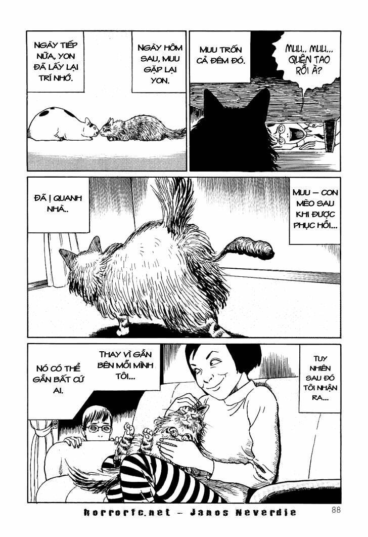 ito junji cat's diary chapter 8 10
