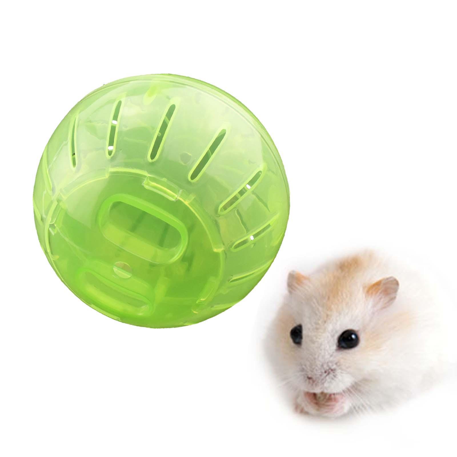 Dwarf Hamster Exercise Ball Cute Hamster for Chinchilla Jogging