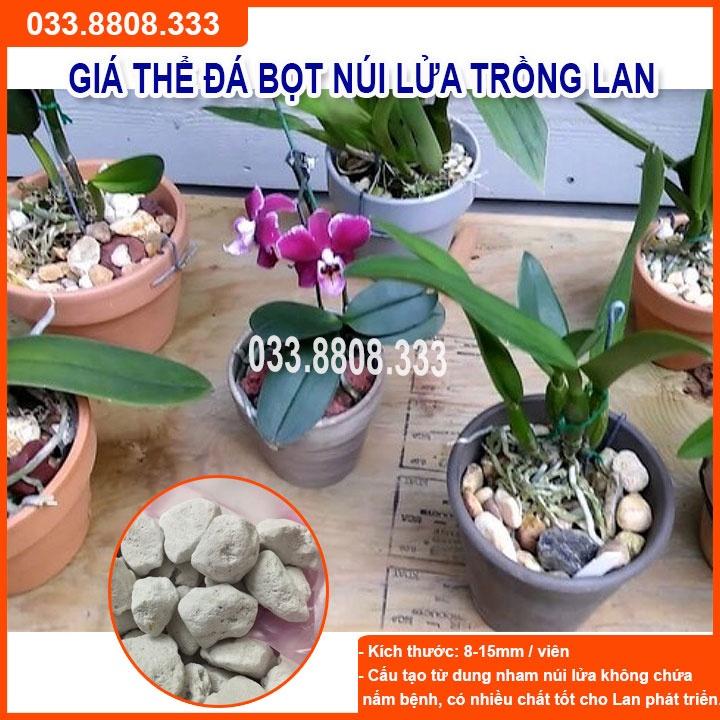 Giá Thể Trồng Lan Đá Bọt 5dm - Hàng Đẹp