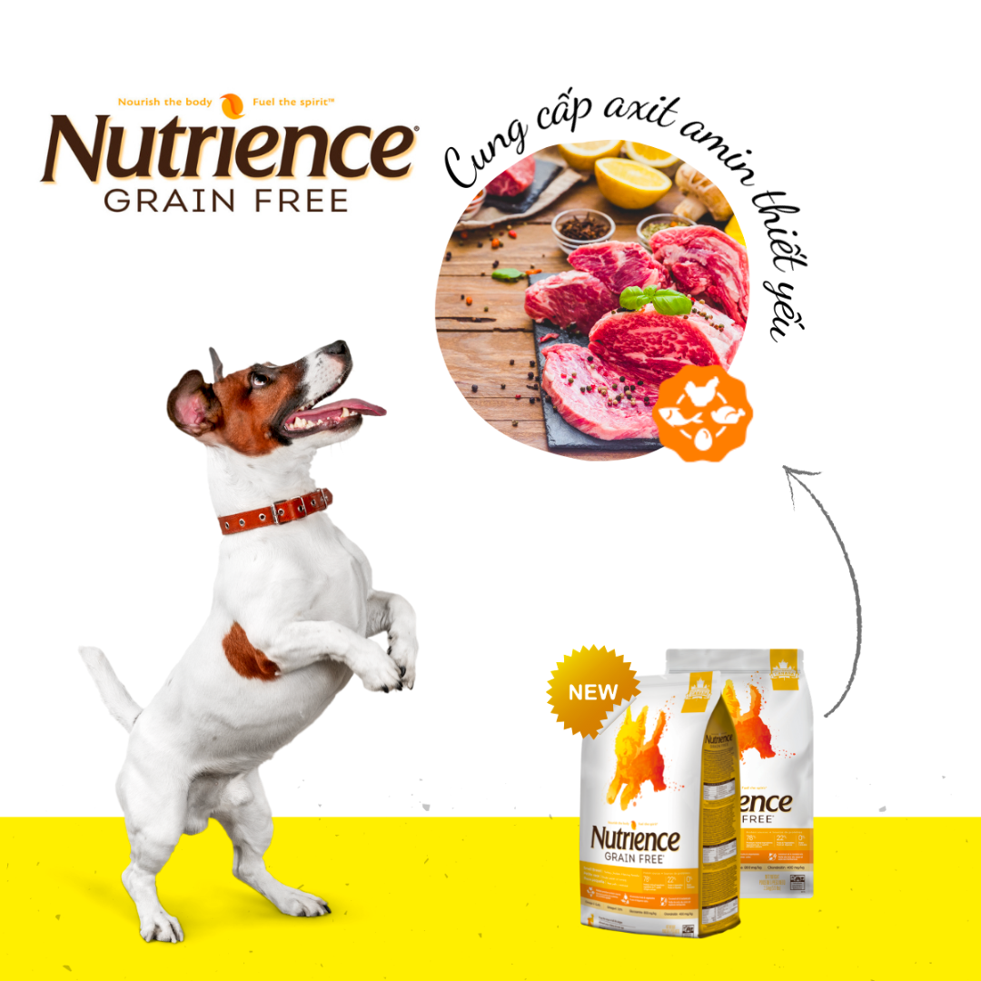 Thức Ăn Hạt Cho Chó Nutrience Grain Free Vị Gà Tây, Gà Canada Và Cá Trích