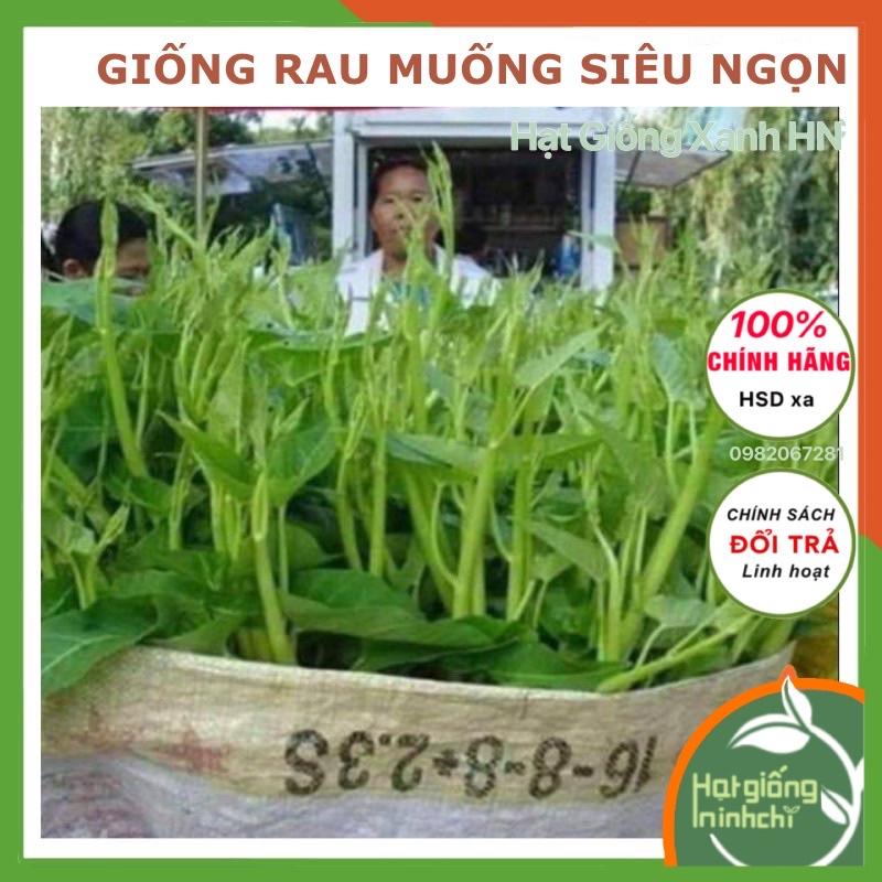 Hạt rau muống siêu ngọn Thái lan F1, Gói 30 Gram, Rau củ quả trồng sân thượng, tại vườn, ban công.