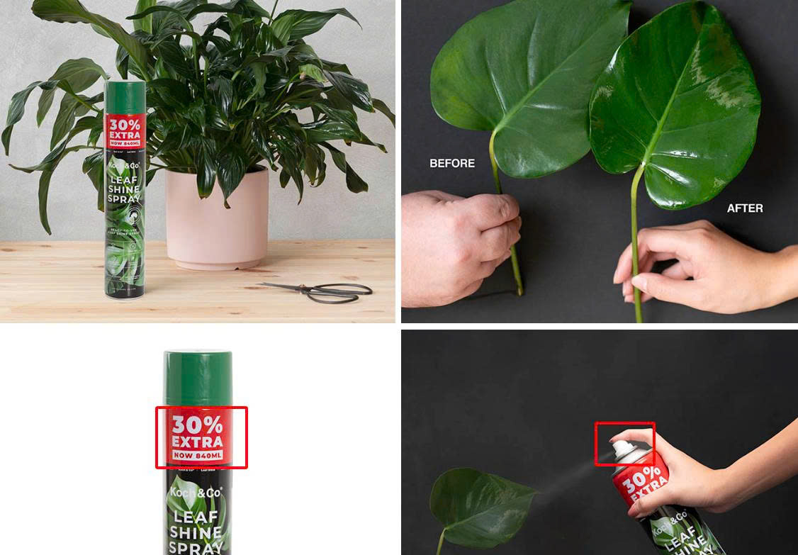 Xịt Bóng Lá hoa lan nhập khẩu Úc (chai lớn 840ml) hiệu Floral Leafshine Spray giúp bóng lá, cứng cáp lá và ngăn xỉn màu lá