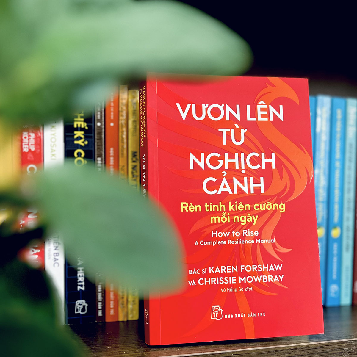 Vươn lên từ nghịch cảnh: Rèn tính kiên cường mỗi ngày