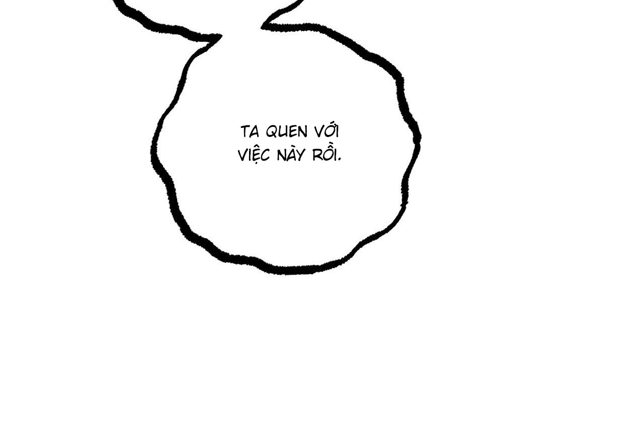 những chú thỏ của hapypy chapter 60 105