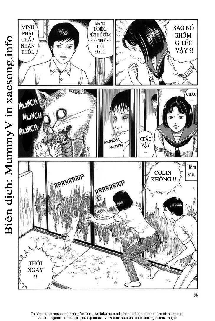 new voices in the dark chapter 2 18