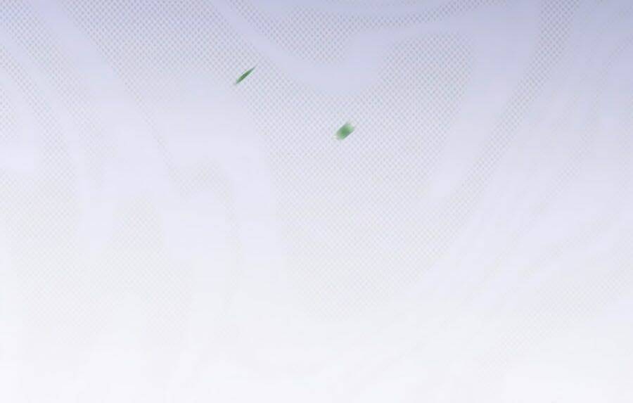 dưỡng thú vi phi chapter 21 52