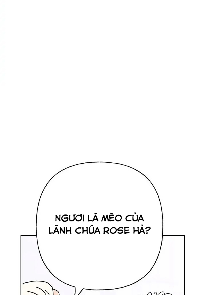 bình tĩnh nào, tiểu thư! chapter 48 21