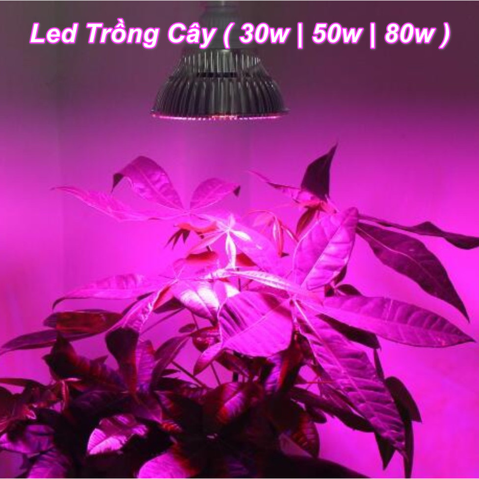 Đèn led trồng cây tản nhiệt thép chuyên dụng tại nhà