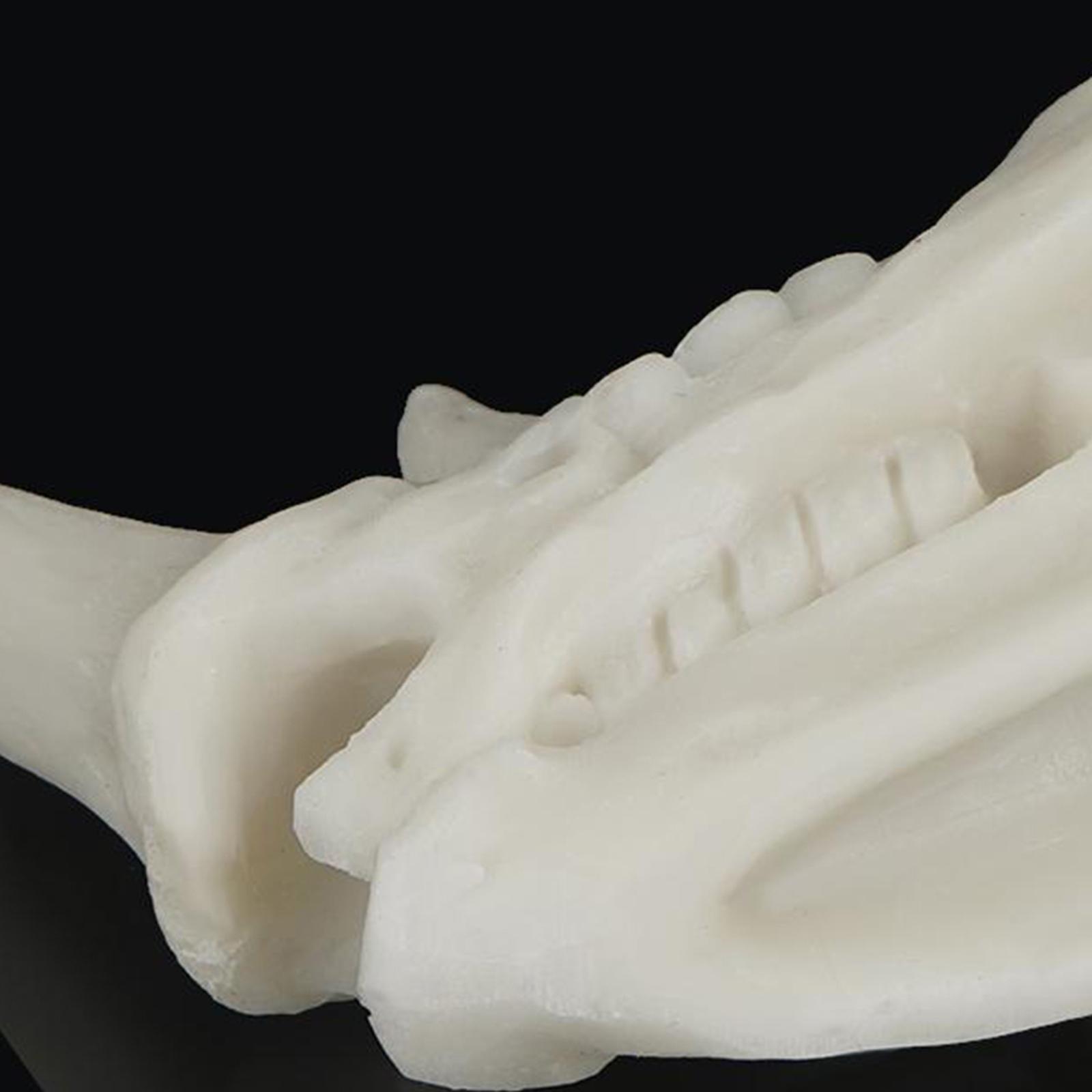 Aquarium Decoration Resin  Tank Decor Fishes Cave