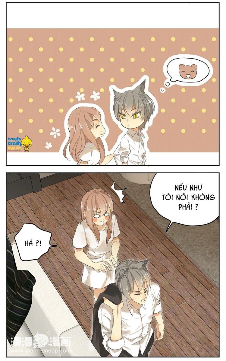 cứu mạng ! loài mèo thống trị thế giới rồi ! chapter 16 20