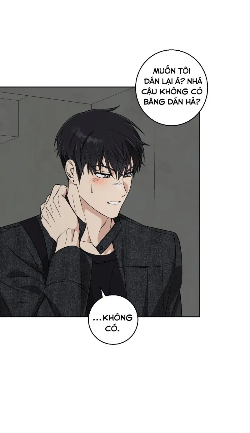 hãy bảo vệ tình yêu thuần khiết! chapter 8 62